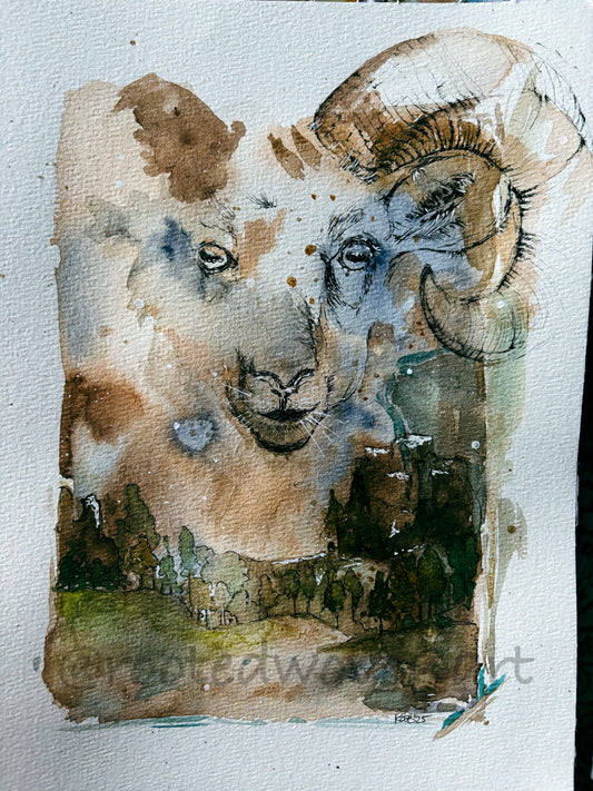 Original Watercolour